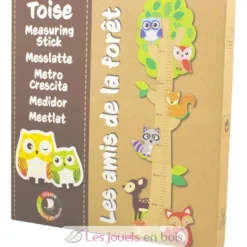 Toise Forêt - Ulysse