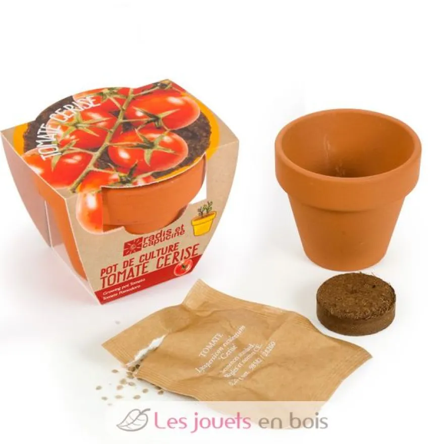 Tomate cerise bio en pot de culture - Radis et Capucine