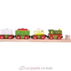 Train en bois Dinosaure - Bigjigs Toys