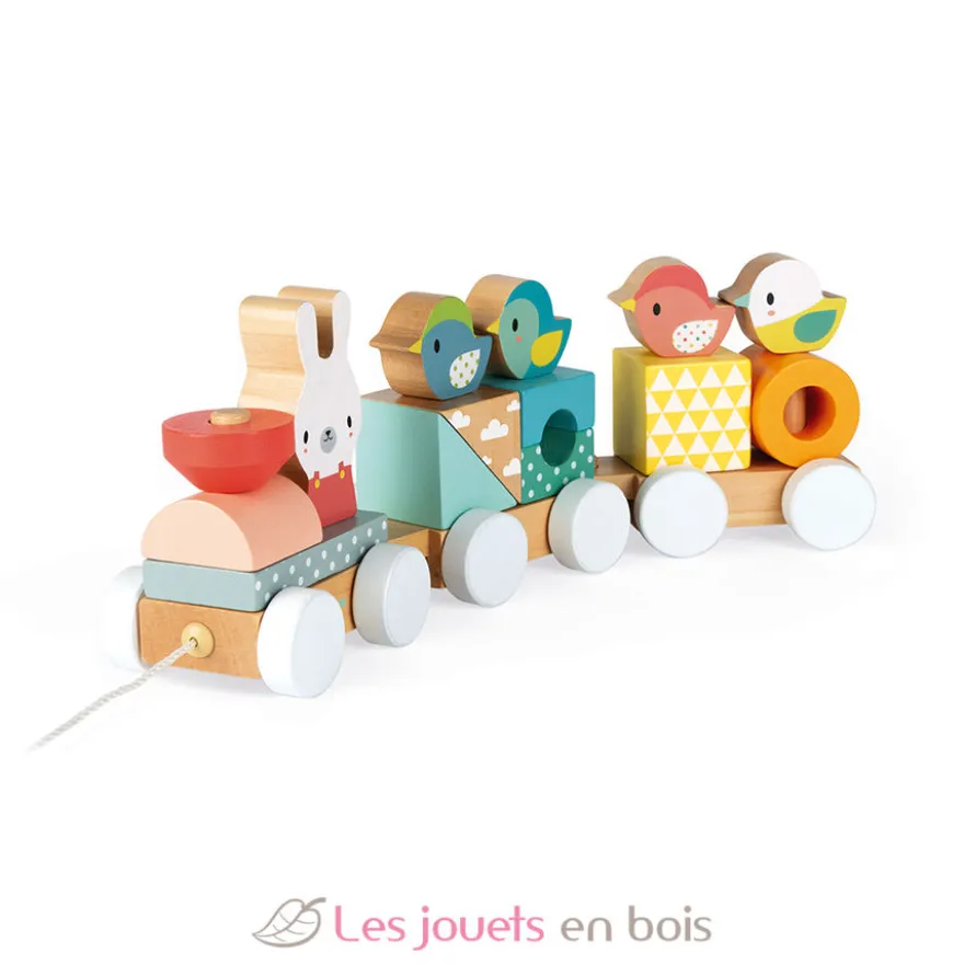 Train en bois Pure - Janod