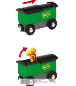 Train Safari - Brio