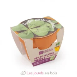 Trèfle à 4 feuilles en pot de culture - Radis et Capucine