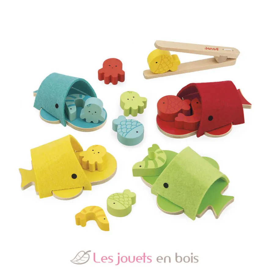 Tri des couleurs baleines - Janod