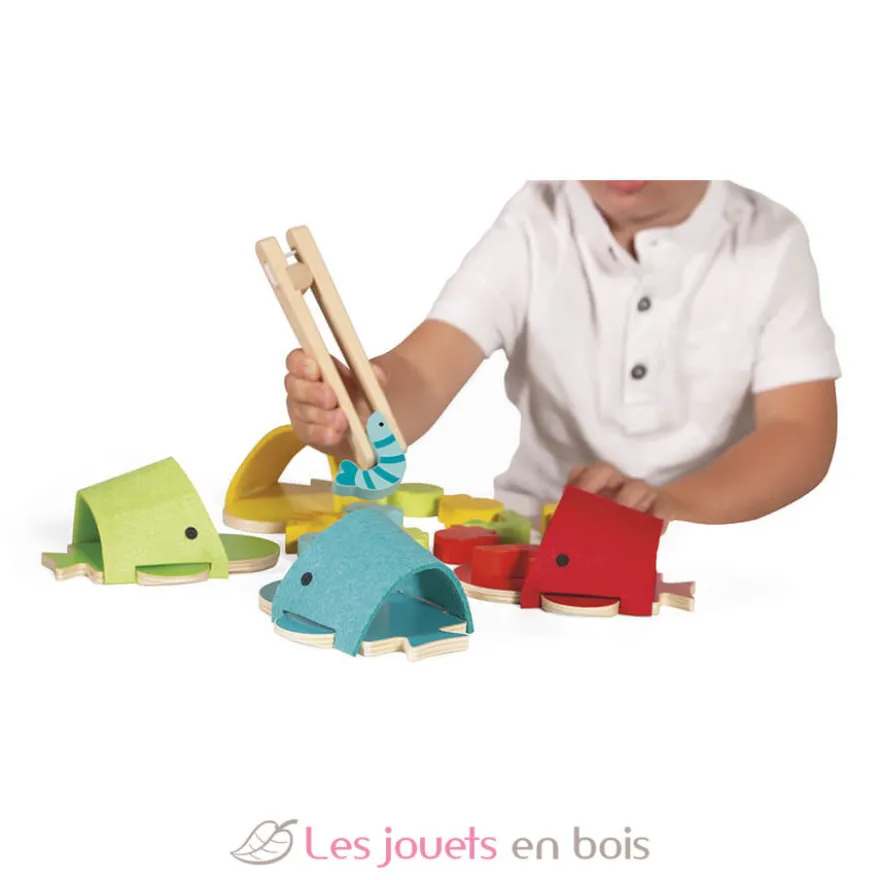 Tri des couleurs baleines - Janod