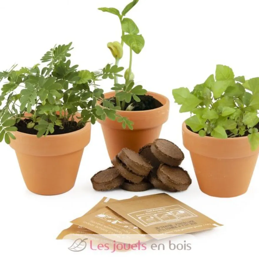 Trio de plantes magiques - Radis et Capucine