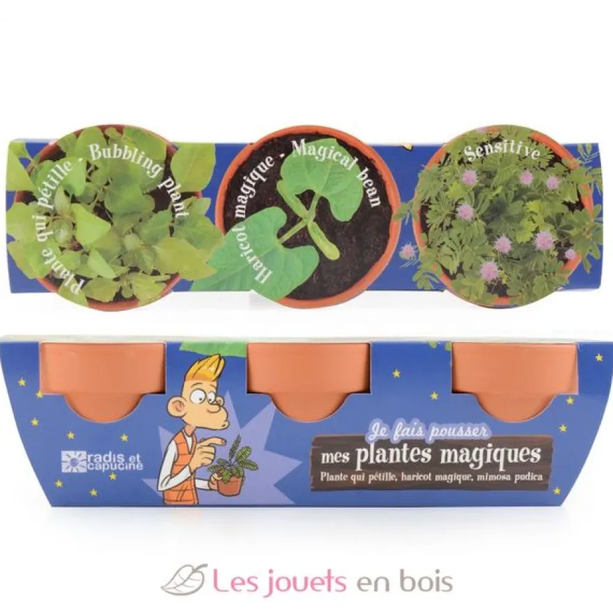 Trio de plantes magiques - Radis et Capucine