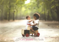 Triporteur - Plan Toys