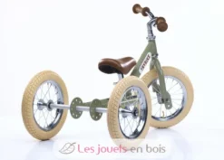 Trybike Draisienne évolutive 2 en 1 vert - Trybike