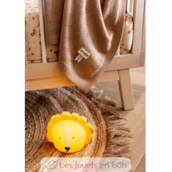 Veilleuse en silicone Mr Lion - Trixie