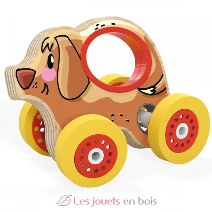 Véhicule bois - Chien - Quercetti