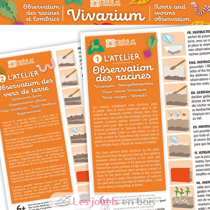 Vivarium Observation racines et vers de terre - Radis et Capucine