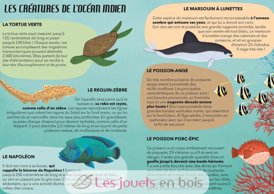 Voyage, découvre, explore - La Mer - Sassi Junior