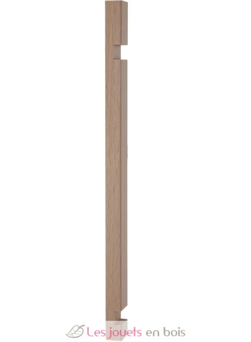 Xyloba Rampe courte - Xyloba