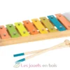 Xylophone Groovy Beats - Small Foot company