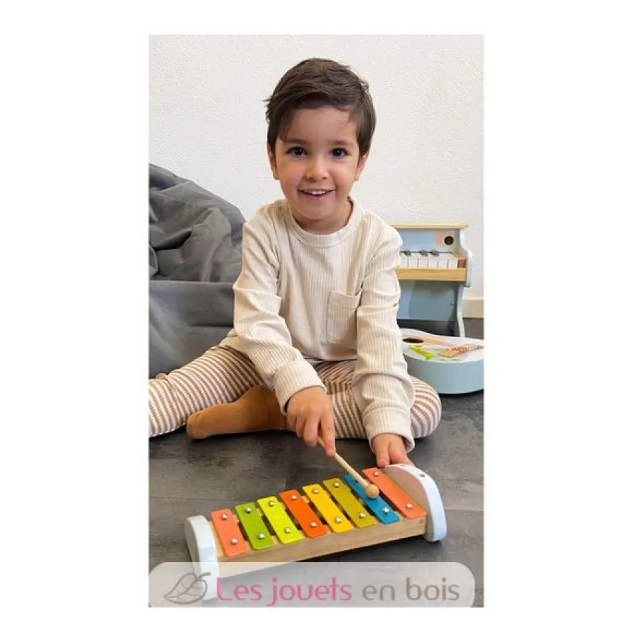 Xylophone Groovy Beats - Small Foot company