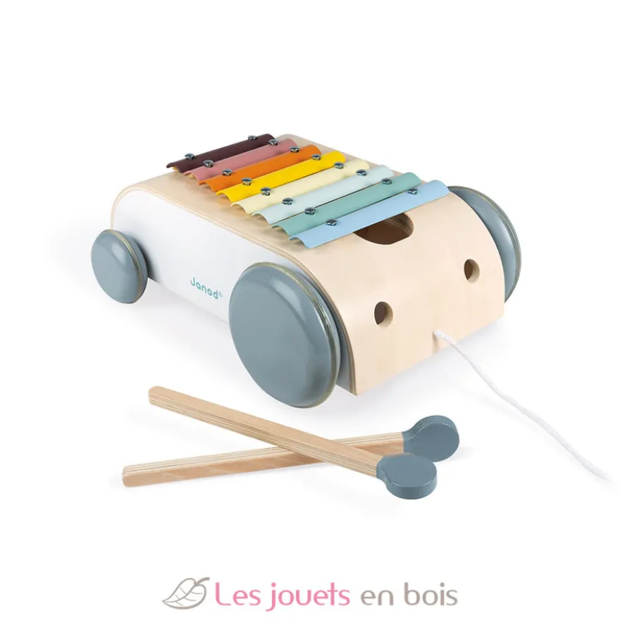 Xylo Roller Sweet Cocoon - Janod