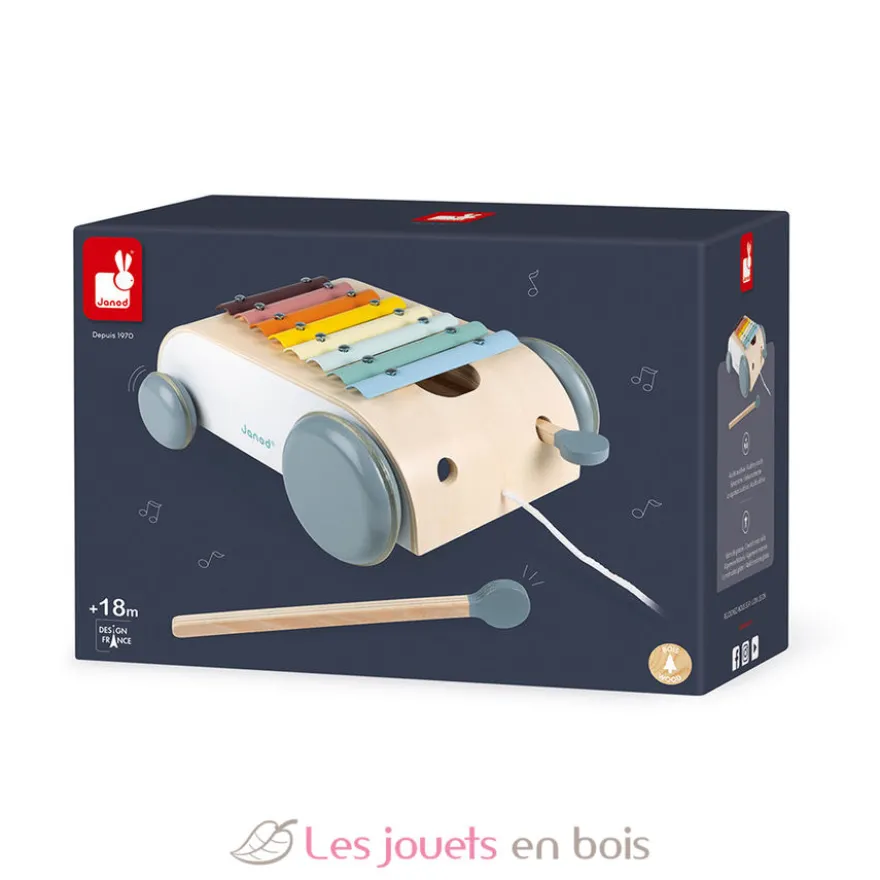 Xylo Roller Sweet Cocoon - Janod