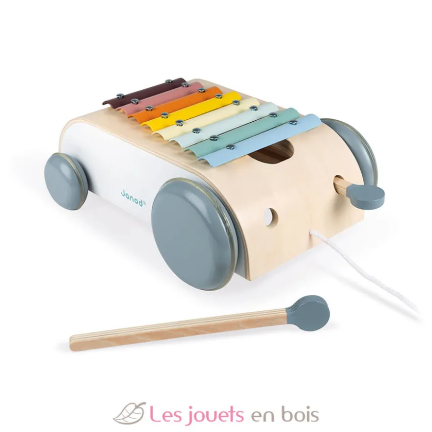 Xylo Roller Sweet Cocoon - Janod